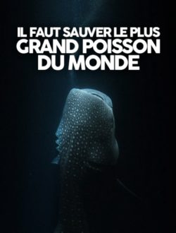 Il faut sauver le plus grand poisson du monde_Cristal-Publishing Il faut sauver le plus grand poisson du monde_Cristal-Publishing