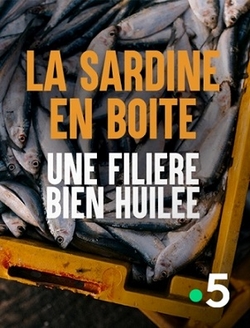La sardine en boîte, une filière bien huilée_Cristal-Publishing La sardine en boîte, une filière bien huilée_Cristal-Publishing