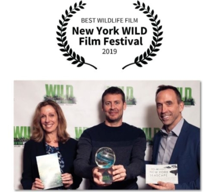 « 700 requins dans la nuit » récompensé au New-York Wild Film Festival