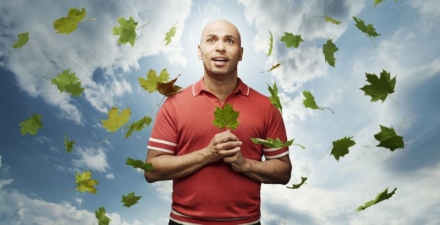 Platane – Saison Tree