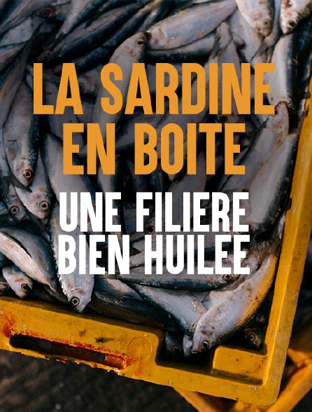 La sardine en boite une filiere bien huilee_Cristal-Publishing